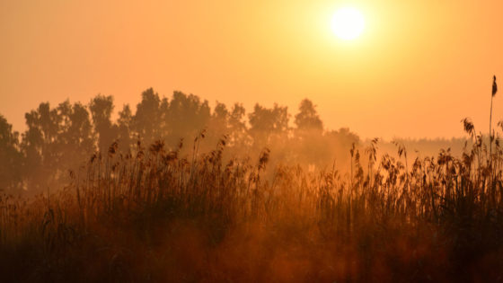 Sun and morning fog above the field in countryside area