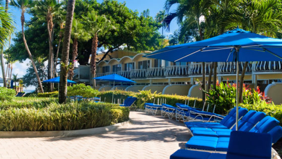 Blue Lounge Chairs