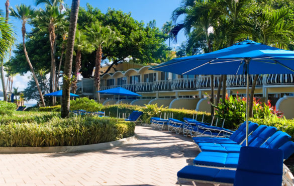 Blue Lounge Chairs