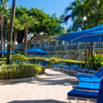 A row of blue lounge chairs and umbrellas in a tropical setting.
